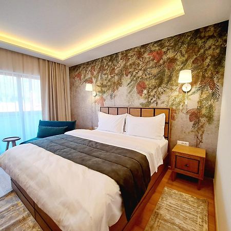 Pensiunea Leonida - Resort Leonida Poiana Tapului Exteriör bild